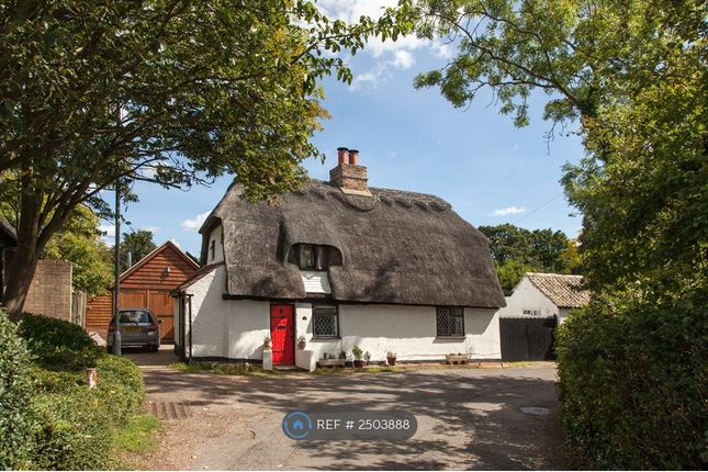Yew Tree Cottage - Frontage From Road