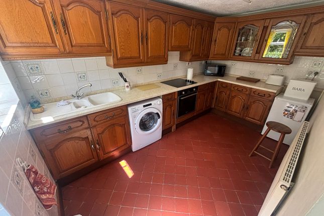 Brynderw, Cwrtnewydd, Llanybydder photo 4