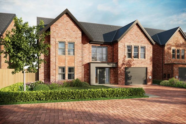 Thumbnail Detached house for sale in Meadow View, Merrybent, Darlington
