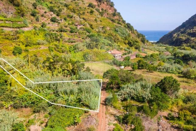 Thumbnail Land for sale in São Jorge, Santana, Ilha Da Madeira