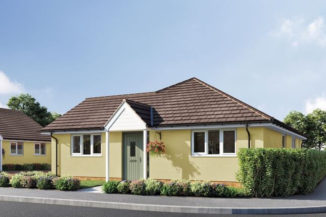 Thumbnail Detached bungalow for sale in Aller Mead Way, Williton, Taunton