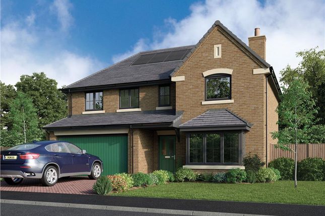 Thumbnail Detached house for sale in "The Beechford" at Mooney Crescent, Callerton, Newcastle Upon Tyne