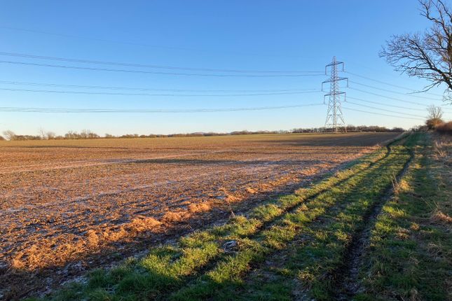 Thumbnail Land for sale in Low Worsall, Yarm, Cleveland