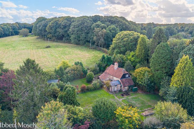 Cheesemans Cottage, Sevenoaks photo 4