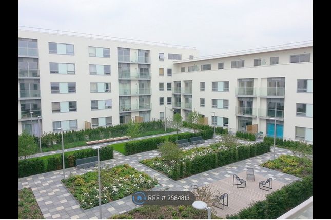 Garden/Outdoor Space