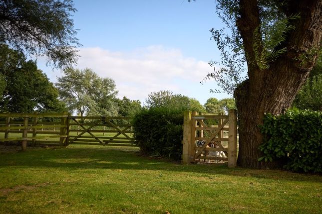 Equestrian property for sale in North Lane, Sykehouse, Goole