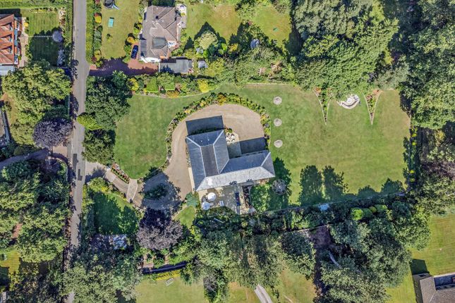 From Above