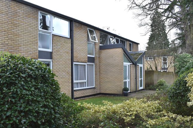 Thumbnail Terraced house to rent in Holme Chase, Weybridge