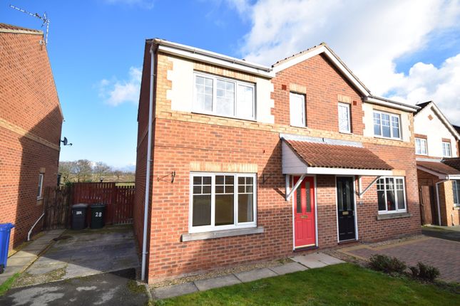 Semi-detached house to rent in Cusworth Grove, Rossington, Doncaster