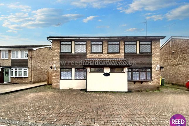 Detached house to rent in Dorset Gardens, Rochford SS4
