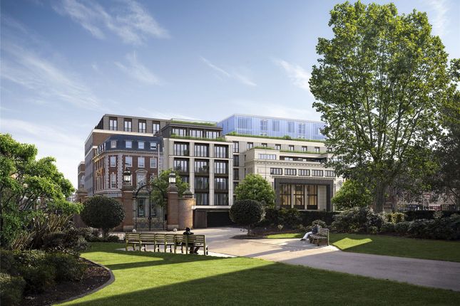 View Holland Park
