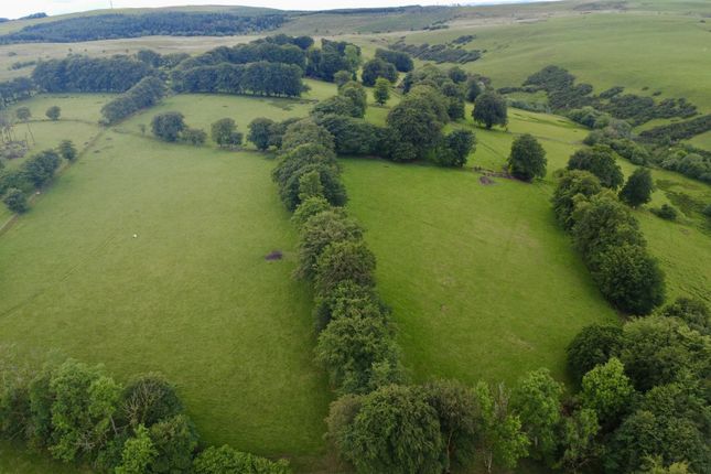 Cwm Canol Farm,, Lampeter photo 4