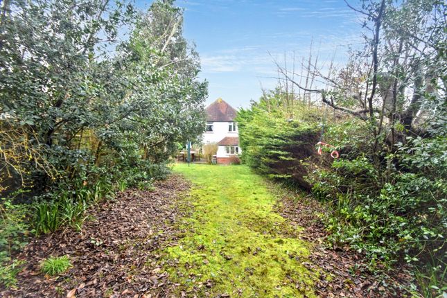 66, Kings Avenue, Eastbourne photo 3