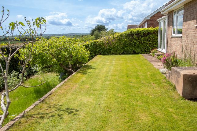Detached house for sale in Winters Lane, Ottery St. Mary
