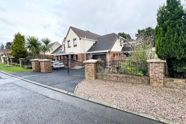Detached house for sale in Templeard, Culmore, Derry