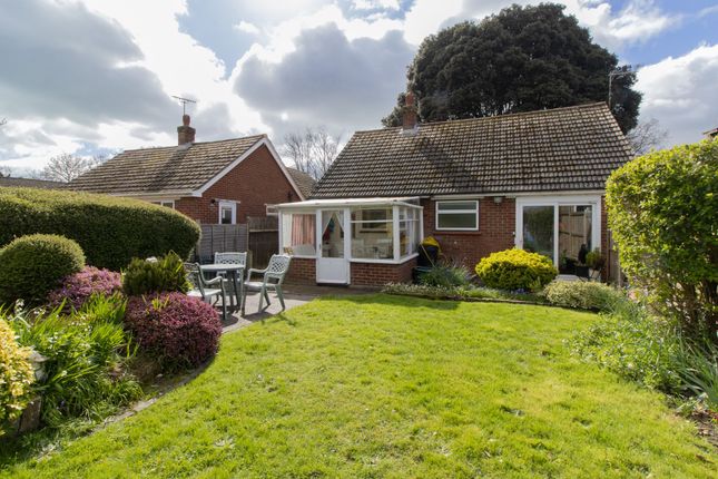 Thumbnail Detached bungalow for sale in St. Peters Road, Broadstairs