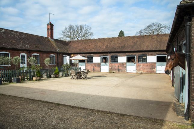 equestrian-eq-magazine