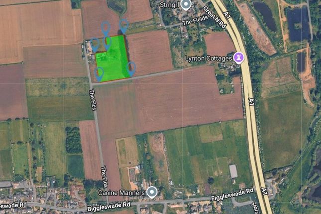 26 The Fields, Biggleswade photo 4