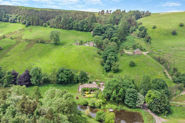 Burton Springs Farm