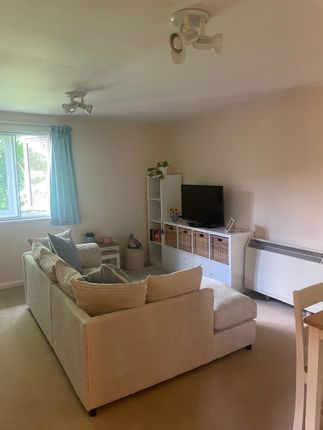 10 Geraldine Court, Hendon photo 4