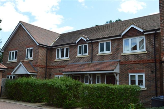 Thumbnail Property to rent in Portsmouth Road, Milford, Godalming