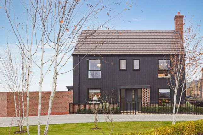 Showhome Photography