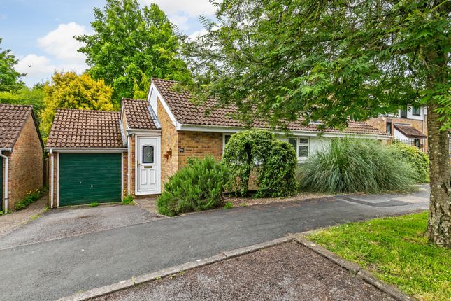 Thumbnail Detached bungalow for sale in Badger Farm, Winchester