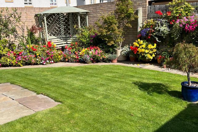 7 Hopper Gardens, Musselburgh photo 2