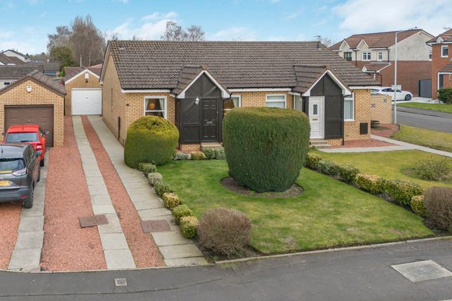 Thumbnail Bungalow for sale in Beattock Wynd, Hamilton