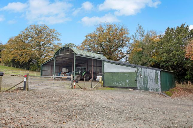 Bridge Farm