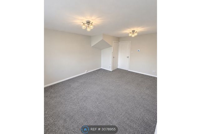 Burslem, Stoke-On-Trent photo 4