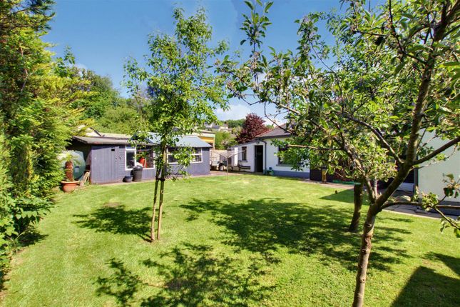 Brynmeusydd, North Road, Lampeter photo 2
