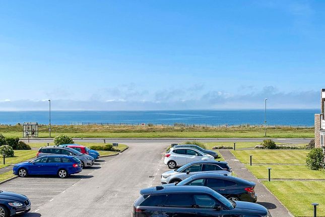 11, White Horses, Barton on Sea photo 2