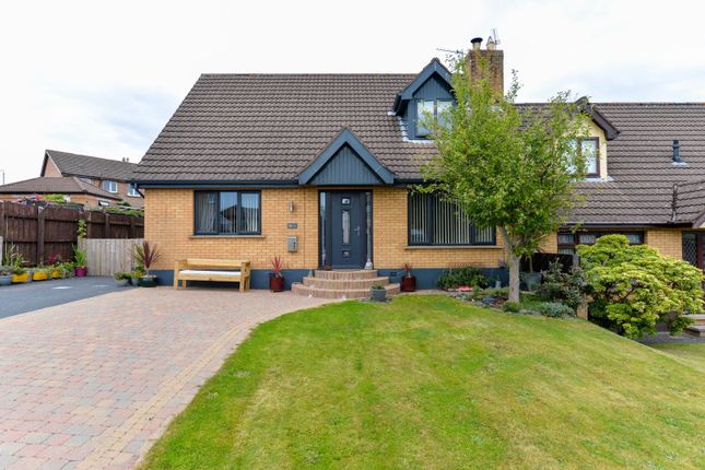 Thumbnail Bungalow for sale in Old Mill Rise, Dundonald, Belfast