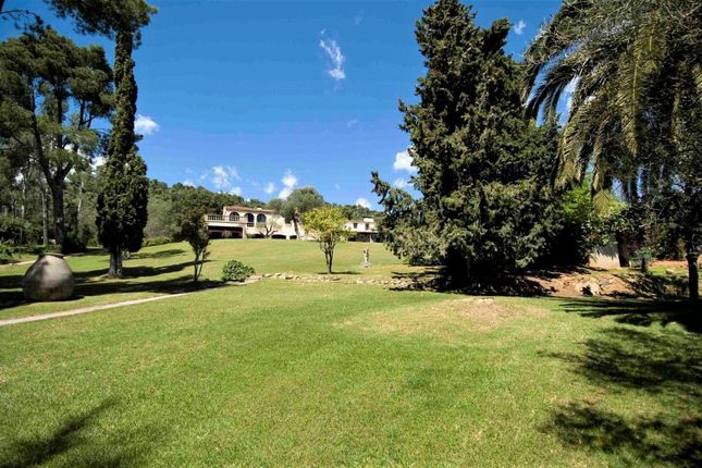 Thumbnail Villa for sale in Mont-Ras, Costa Brava, Catalonia