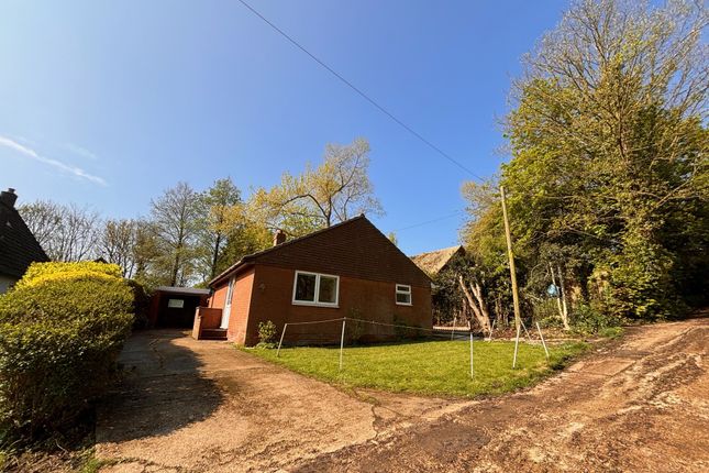 Thumbnail Detached bungalow to rent in The Lookout, Peacehaven