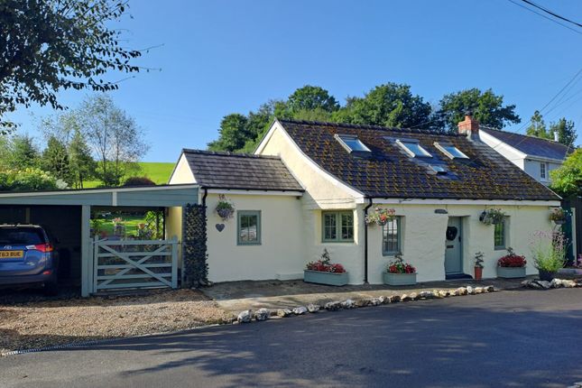 The Property