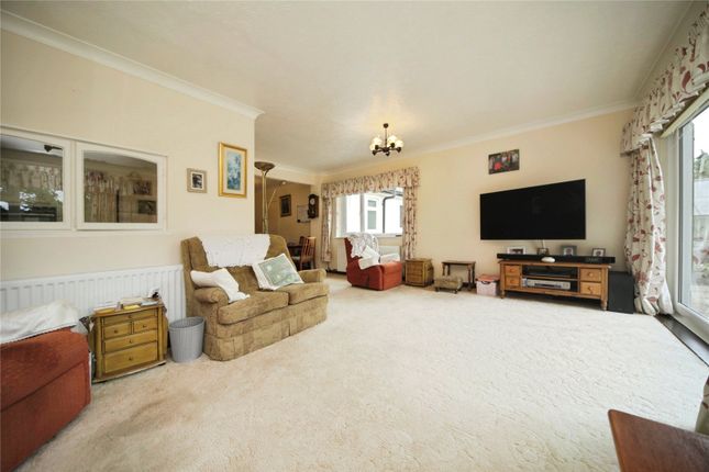 Red Elfins,, White Elm Road, Bury St. Edmunds photo 4