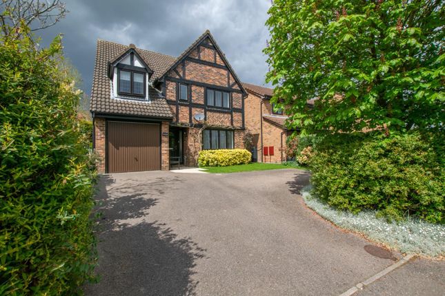 Thumbnail Detached house to rent in The Sycamores, Milton, Cambridge