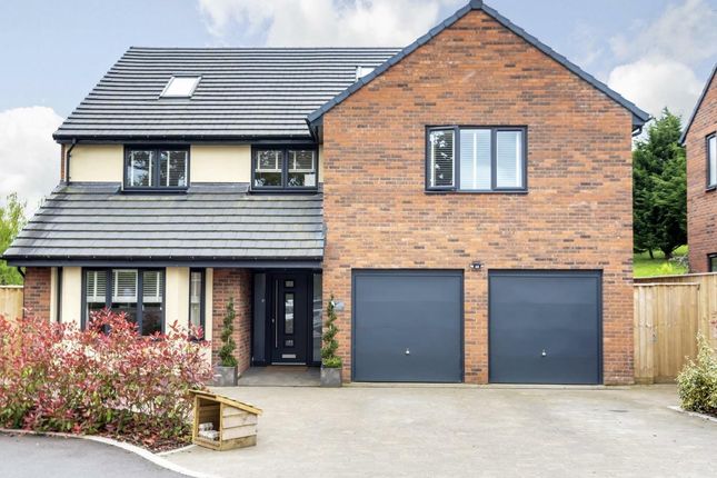 Thumbnail Detached house for sale in Springbourne Drive, Cullompton