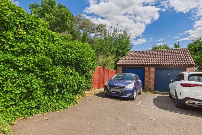 32, Peto Avenue, Colchester photo 3