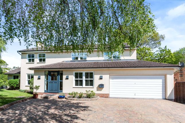 Thumbnail Detached house for sale in The Ridings, Camberley, Surrey