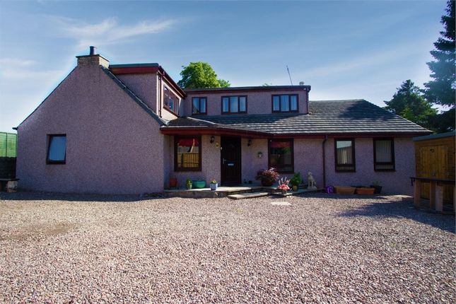 Thumbnail Detached house for sale in Auchterarder