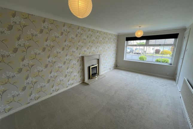 16, Galloway, Darlington photo 2