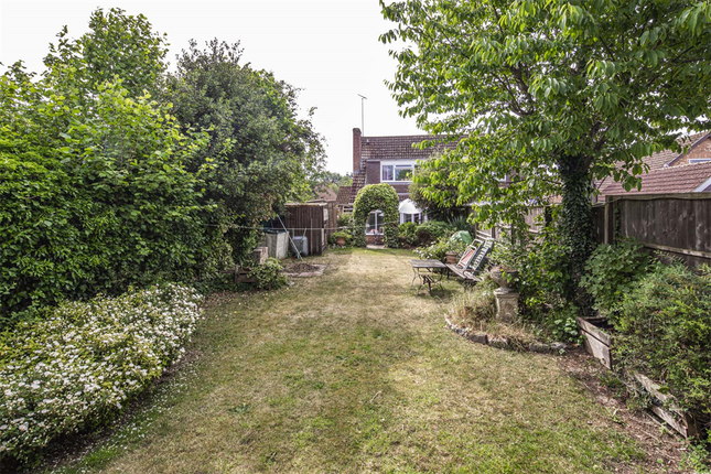 Firs Wood, Woodcote photo 4