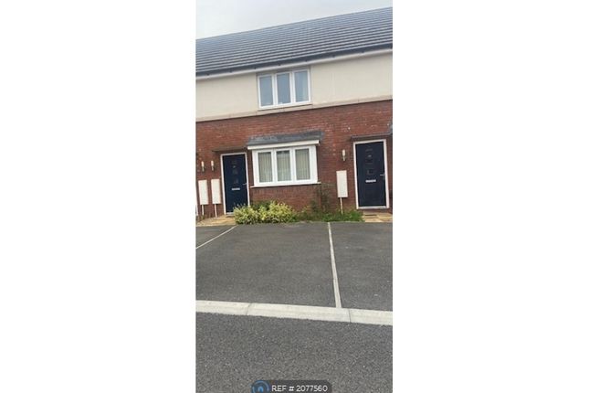 Thumbnail Terraced house to rent in Alford Pasture, Cranbrook, Exeter