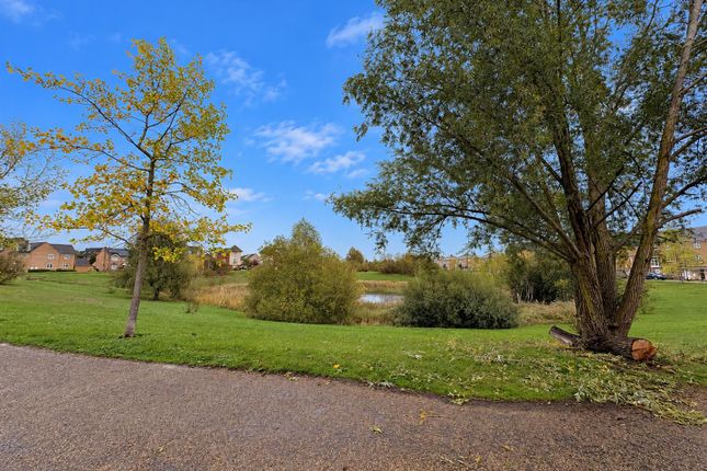 New Lakeside, Peterborough photo 2