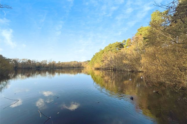 2, Sweet Briar, Berkshire photo 4
