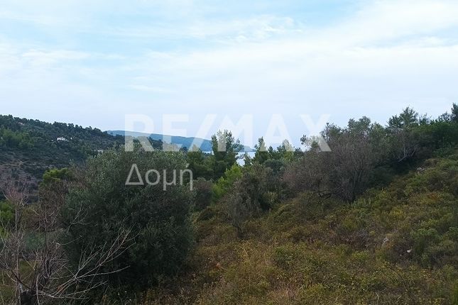 Thumbnail Land for sale in Chrisi Milia, Sporades, Greece