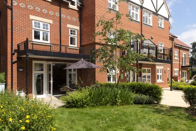 Shared Gardens
